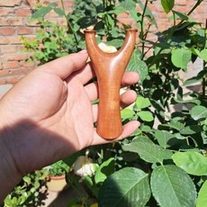 百年雷擊棗木玲棗木反曲小飛虎彈弓，原木無漆珍藏級別小弓門戶外精準射擊, 1個, 百年雷擊棗木玲棗木反曲小飛虎彈弓原木無漆