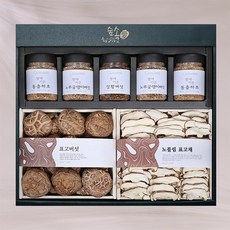 숲속애 마이셀오색건강버섯세트, 1세트