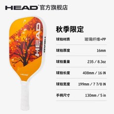 ALPSPORT AIR- 테니스 라켓 100% 풀 카본 파이버 290g 51파운드 수입 탄소 섬유 가방 보관 훈련용, 01 Yellow, 1개