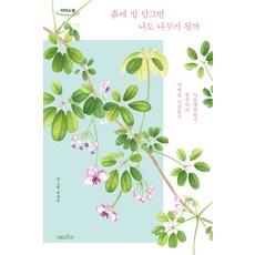 흙에 발 담그면 나도 나무가 될까(큰글자도서):식물세밀화가 정경하의 사계절 식물일기, 여름의서재, 정경하 저