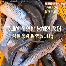 [산지직송] 국내산 자연산 새벽조업 당일배송 남해안 횟감용 숭어 1.5kg 손질후 500g 필렛 제철생선 선물용 가정용, 1세트, 새벽조업 횟감용 숭어 1.5kg 손질후 500g 필렛
