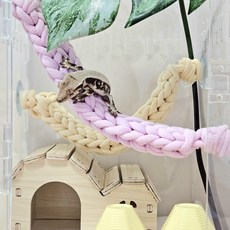 크레스티드게코 도마뱀/양말목 백업 사다리 24cm/사육장 꾸미기, 옐로우+핑크