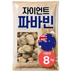 큰나무 자이언트 파바빈 대용량 4kg 공식 수입사 직판 당뇨콩, 2개