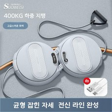 전신 유산소 트위스트 코어 실내 운동기구 허리 회전 가정용 마사지 기기, B. 그레이 400KG