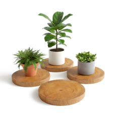 원목 화분받침대 16cm 마호가니 원형 우드 플랜트트레이, 1개