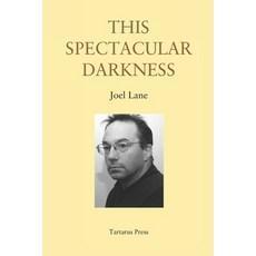 (영문도서) This Spectacular Darkness: Critical Essays Paperback, Independently Published, English, 9781719848800