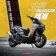 GOWORKS AUGUR 水箱外蓋 FORCE2 NMAX 水冷B 機車水箱保護罩 水箱網 水箱護罩, 1個, BMW M-Power,不加購