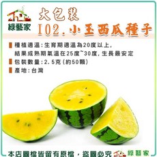 綠藝家 小玉西瓜種子 2.5克(約50顆), 1個
