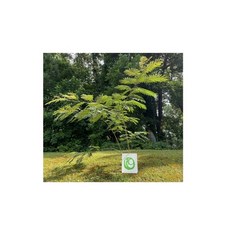 (영문도서) 0: The Journey Back To Self Paperback, Independently Published, English, 9798542541563