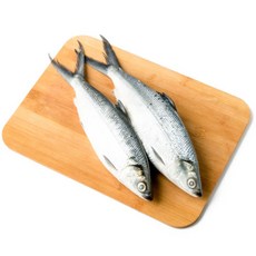 방구스 밀크피쉬 2미 Bangus Milk fish 1kg, 1개