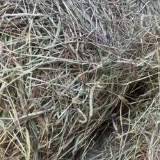 提摩西二割乾草 動物飼料, 1個