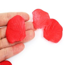 모모영 조화 플라워샤워조화, 화이트