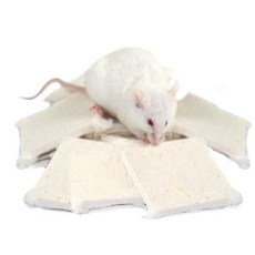 Ancare 愛兔草 實驗室紙巢料片 倉鼠墊材 紙墊材 紙墊料 實驗室墊材 倉鼠/黃金鼠/楓葉鼠, 1個, 5cm*5cm*1(片)