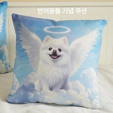 크리스탈 메모리볼 고화질 스크린 수정구슬 크리스탈공, 엔젤클라우드 크리스탈램프+쿠션, 1개, 1GB