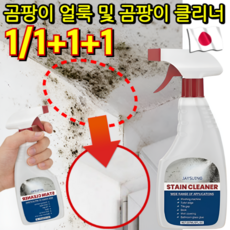 240ml/720ml[신년 특가]벽면 얼룩 제거 곰팡이 제거 초속 곰팡이 제거제 스페시핏 초강력 곰팡이 제거제, 1개
