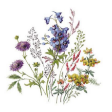 도자기전사지 도예 상회용 포슬린 영국 N4709 초원의 꽃들 D 45mm, 4개