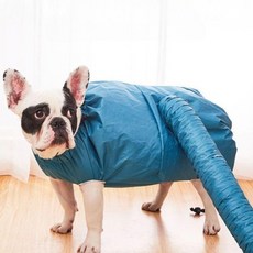 애견드라이캡 목욕후 반려견 귀보호 털건조 강아지 샤워후 드라이모자, 1개, 대