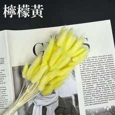 花藝夢*進口兔尾草 原裝販售 乾燥花 永生花 不凋花 乾燥花材 配花 台灣現貨 高CP值 迷你小花 配花 花束配花 必備, 檸檬黃