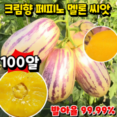 [100일 숙성] 크림향 우유향 황금 페피노 멜론 씨앗 크림향 페피노 5A급 페피노 씨앗, 1개