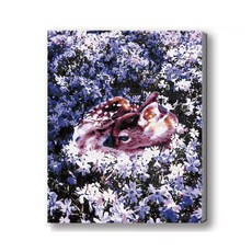 MANTO 台灣製造 DIY數字油畫 日本花海歐洲風景 初學者專用, 花花萌鹿, 1套