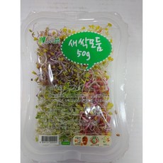 모둠새싹 50g 1팩, 1개