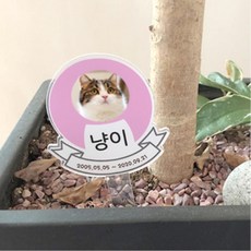 반려동물 화분장 사진팻말 수목장 선물용 강아지유치원 아크릴 소아과 환경판 귀여운, 4.민트