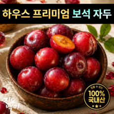 [하우스 최상품] 자두 2026 햇자두 보석자두 산지직송 피자두 백화점납품, 1박스, A. 중소과 500g