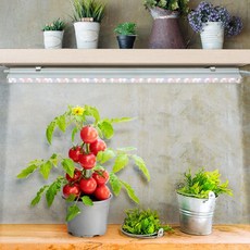 국산 식물 조경 재배등 LED 자연 전원선별도 59817pc 1개, 전구색