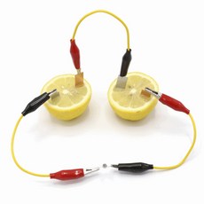 2셀 시계 과일전지 구리 아연전극 산화 환원 실험키트 사이언스 학교 전자 학습 방과후