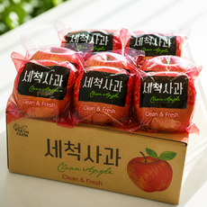[선착순특가] 개별포장 껍질째 먹는 세척사과 꿀사과, 1박스, 2kg