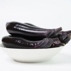 백씨네 농산물 국내산 가지 상, 1박스, 5kg