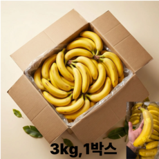 동명 대용량 노란달 낱발 바나나 가정용 쥬스 까페, 3kg, 1박스, 3kg