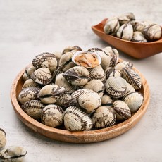 남해수산 벌교 꼬막 당일조업 산지직송, 1개, 특 1kg(85미 내외)