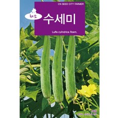 수세미 씨앗 수세미씨 30립, 1개