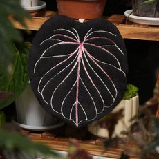 創意葉子擦手巾可愛加厚珊瑚絨廚房洗手間吸水速幹不髮臭抹布手帕, 1個, 黑色