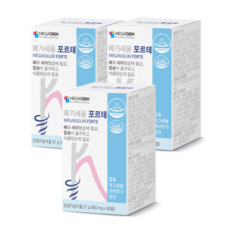 메가세움 포르테 칼슘 마그네슘 멀티 비타민 D 망간, 60정, 3개