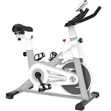 LMLL&PP 하이엔드 헬스사이클 좌식 실내 자전거 가정용 스피닝자전거무소음 순량 25.5KG, 흰색, 흰색