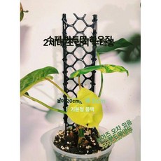 물이끼 기둥 블록에 키높이 거북이 등 대나무 녹색 바구니 오르기 식물 보습 핸드메이드, 블랙 레귤러 6cm x 20cm