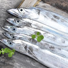 청정 제주 손질 수산물 제주산 갈치 옥돔 단품 세트, 1개