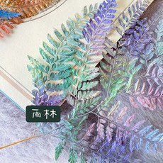 大地農園 不凋姬蕨 日本進口高山羊齒蕨 花材 捧花手腕花 房間佈置胸花桌花背景花材, 雨林(整枝)