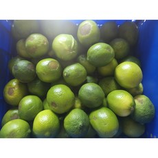 못난이 흠과 생라임, 1박스, 2kg