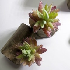 仿真多肉植物 樹木造型擺件, P84仿真多肉+木頭底座(隨機), 1套