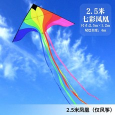 초대형 연 날리기 세트 가오리연 나비 제트기 한강, 2.5m 봉황 (연만 해당)