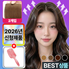 에어릴리 리얼핏 옆머리 볼륨 가발 헤어피스 여성, 2개, 베이지브라운 10cm