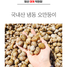 냉동 오만둥이 미더덕 오만디 10kg 벌크 한박스, 벌크-특가할인, 1박스