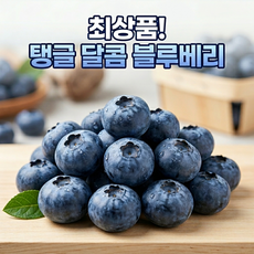 특품 고당도 무농약 생 블루베리 (TruAhnor 보장), 1개, 14mm~16mm / 100g