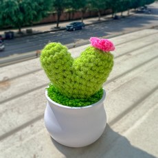 뜨개질패키지 선인장화분 뜨개꽃다발 LOVE 장식 수제 세트 완성품, 1개, 비심 선인장