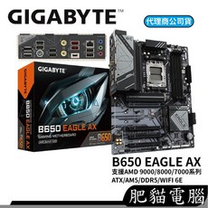 GIGABYTE 技嘉 B650 EAGLE AX 主機板, 1個