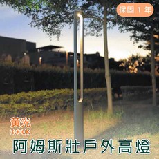 舞光 LED 22W 阿姆斯壯 戶外高燈 (黃光 3000K) OD-1502, 詳見包裝