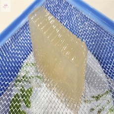 빽귤스토어 우무가사리채 우무가사리내리는채, 사각우무가사리채